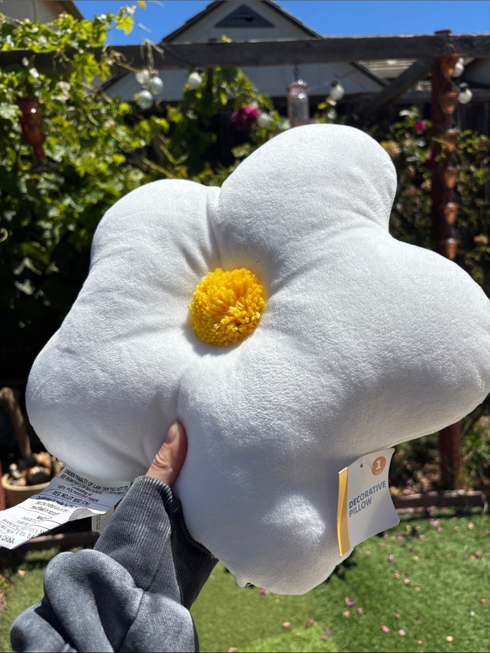 Target Brand Decorative Pillow